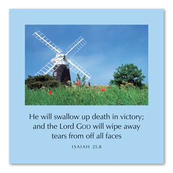 Pack of Six Greetings Cards (Isaiah 25:8)
