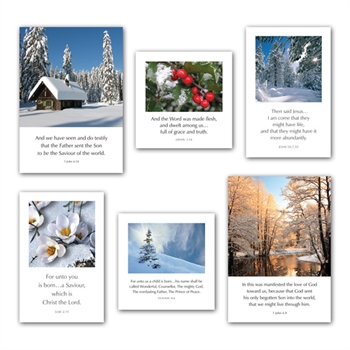 Mixed Pack of Six Greetings Cards