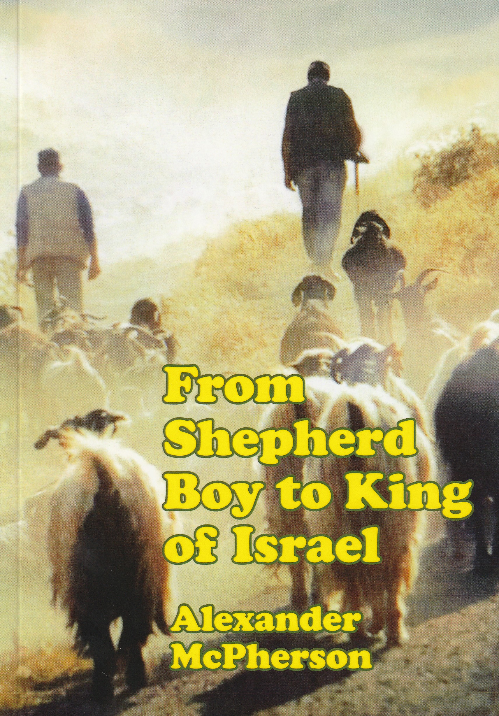 From Shepherd Boy to King of Israel