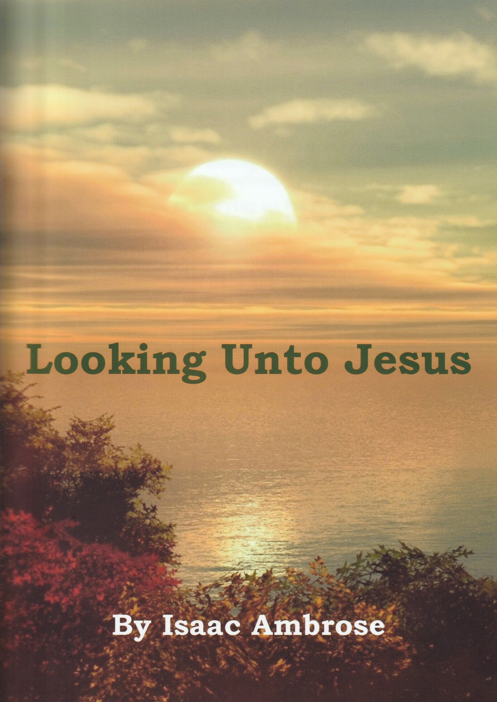 Looking Unto Jesus