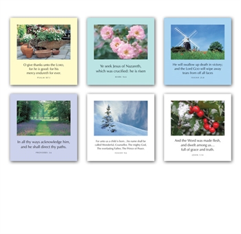 Mixed Pack of Six Greetings Cards