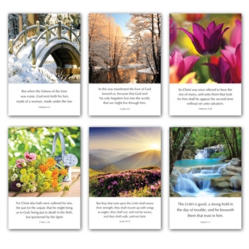 Mixed Pack of Six Greetings Cards