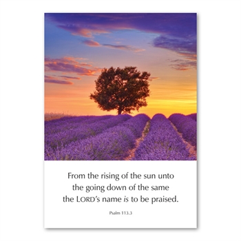 Pack of Six Greetings Cards (Psalm 113:3)