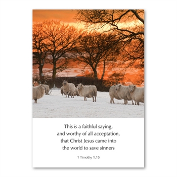 Pack of Six Greetings Cards (1 Timothy 1:15)