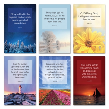 Mixed Pack of Six Greetings Cards