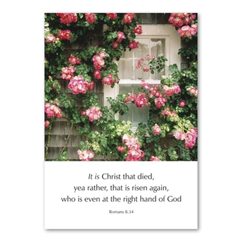 Pack of Six Greetings Cards (Romans 8:34)