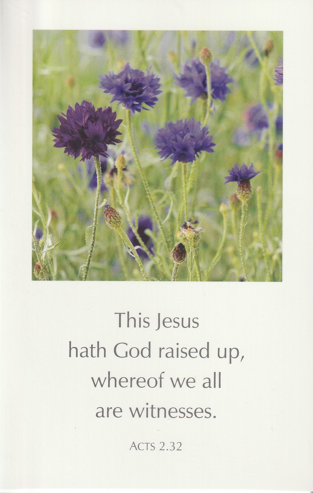 Pack of Six Greetings Cards (Acts 2:32)