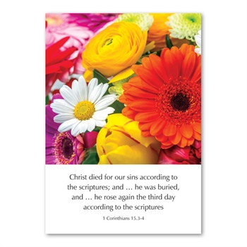 Pack of Six Greetings Cards (1 Corinthians 15:3-4)