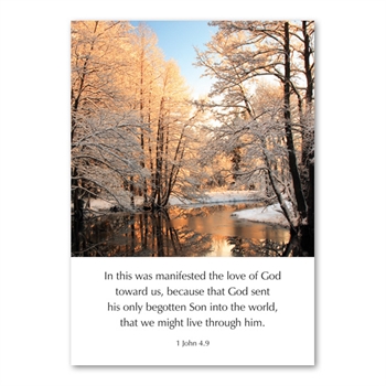 Pack of Six Greetings Cards (1 John 4:9)