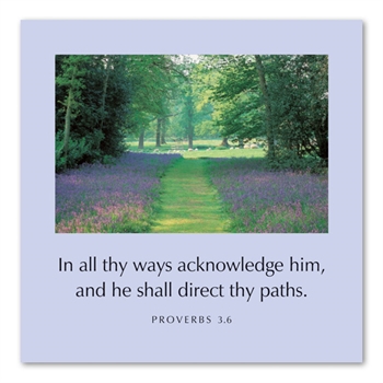 Pack of Six Greetings Cards (Proverbs 3:6)