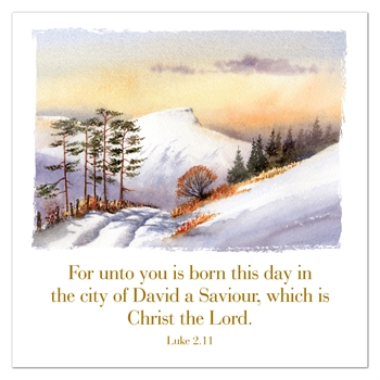 Pack of Six Greetings Cards (Luke 2:11)