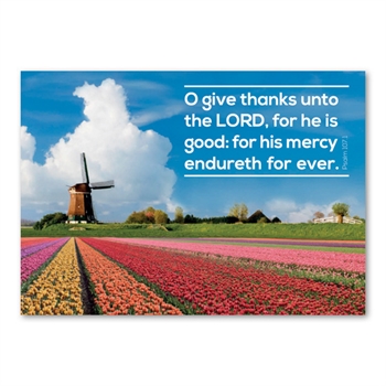 Pack of Six Greetings Cards (Psalm 107:1)
