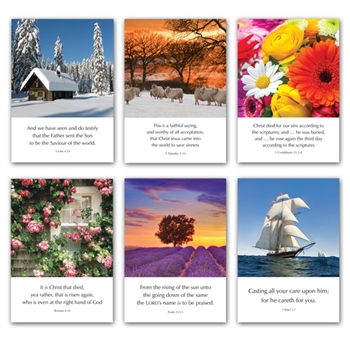 Mixed Pack of Six Greetings Cards