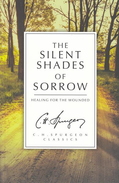 The Silent Shades of Sorrow