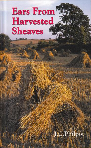 Ears from Harvested Sheaves