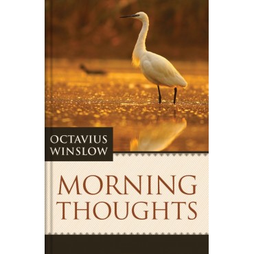 Morning Thoughts (Winslow)