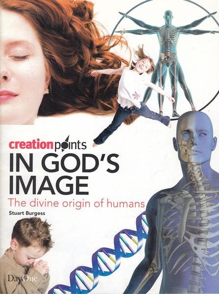 In God's Image: The Divine Origin of Humans