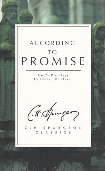 According to Promise: God's Promises to Every Christian