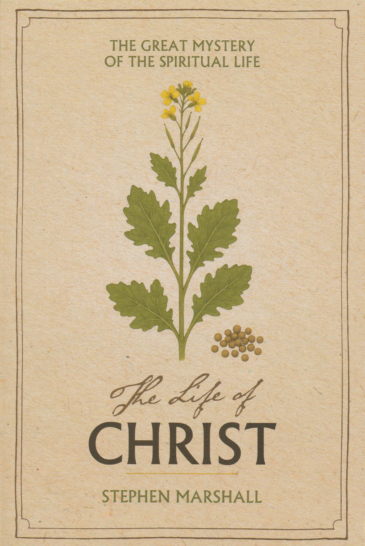 The Life of Christ