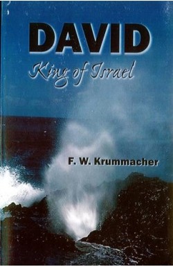 David: King of Israel (paperback)